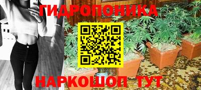 эйфоретик Кингисепп