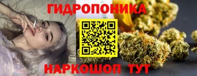 эйфоретик Кингисепп