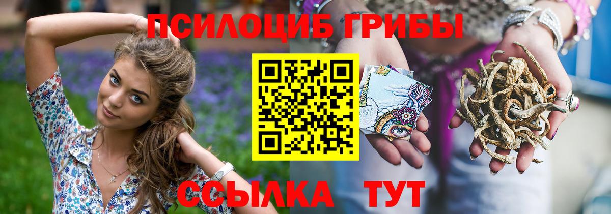 Галлюциногенные грибы прущие грибы  Вход с VPN  Галлюциногенные грибы мухоморы  Киреевск 